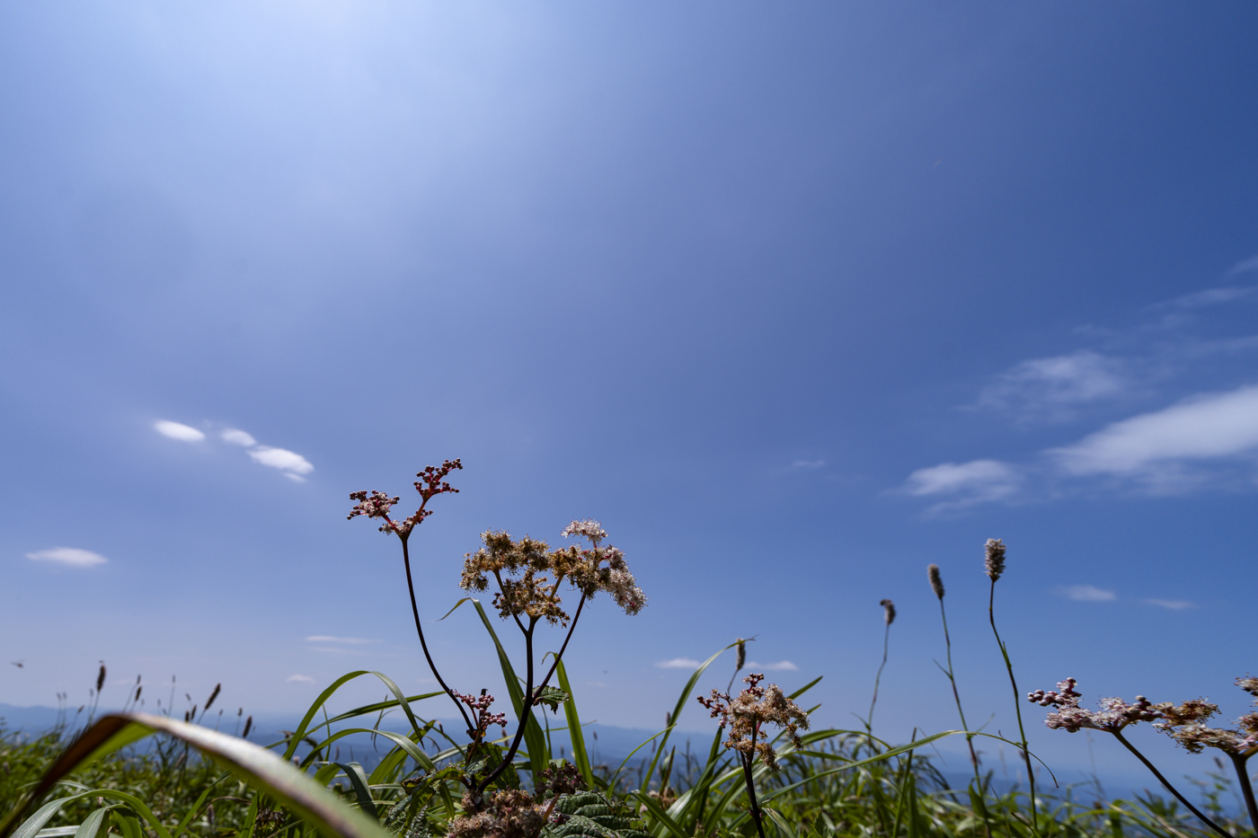 YDY00620.jpg