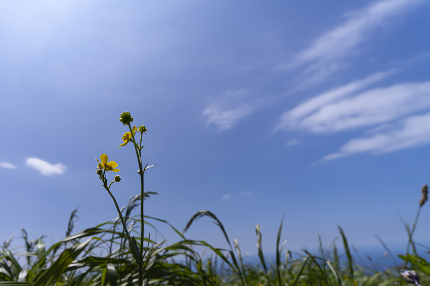 YDY00626.jpg