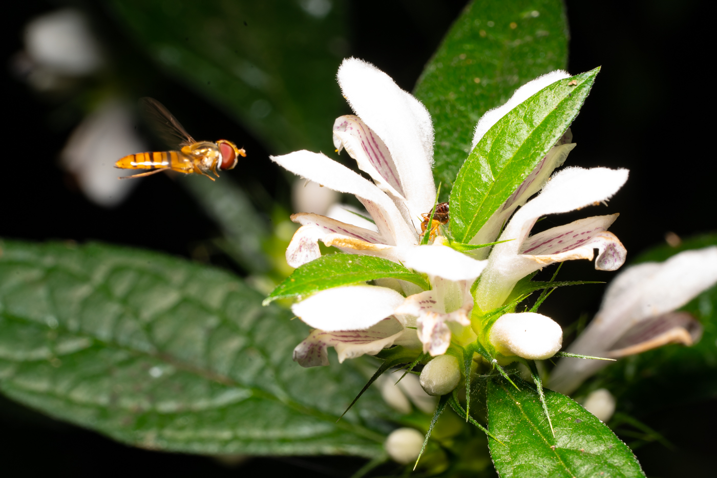 YDY09497.jpg