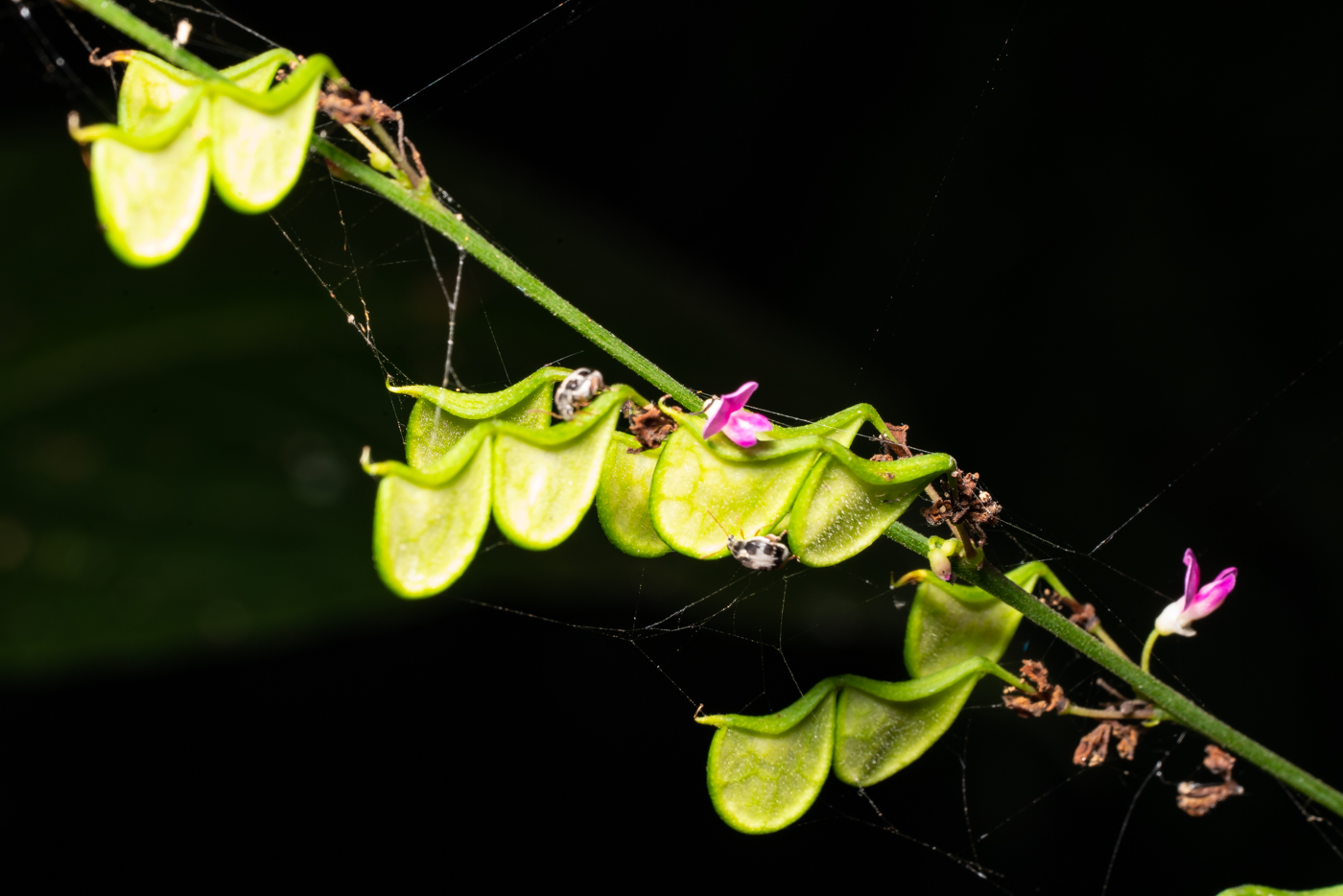 YDY09498.jpg