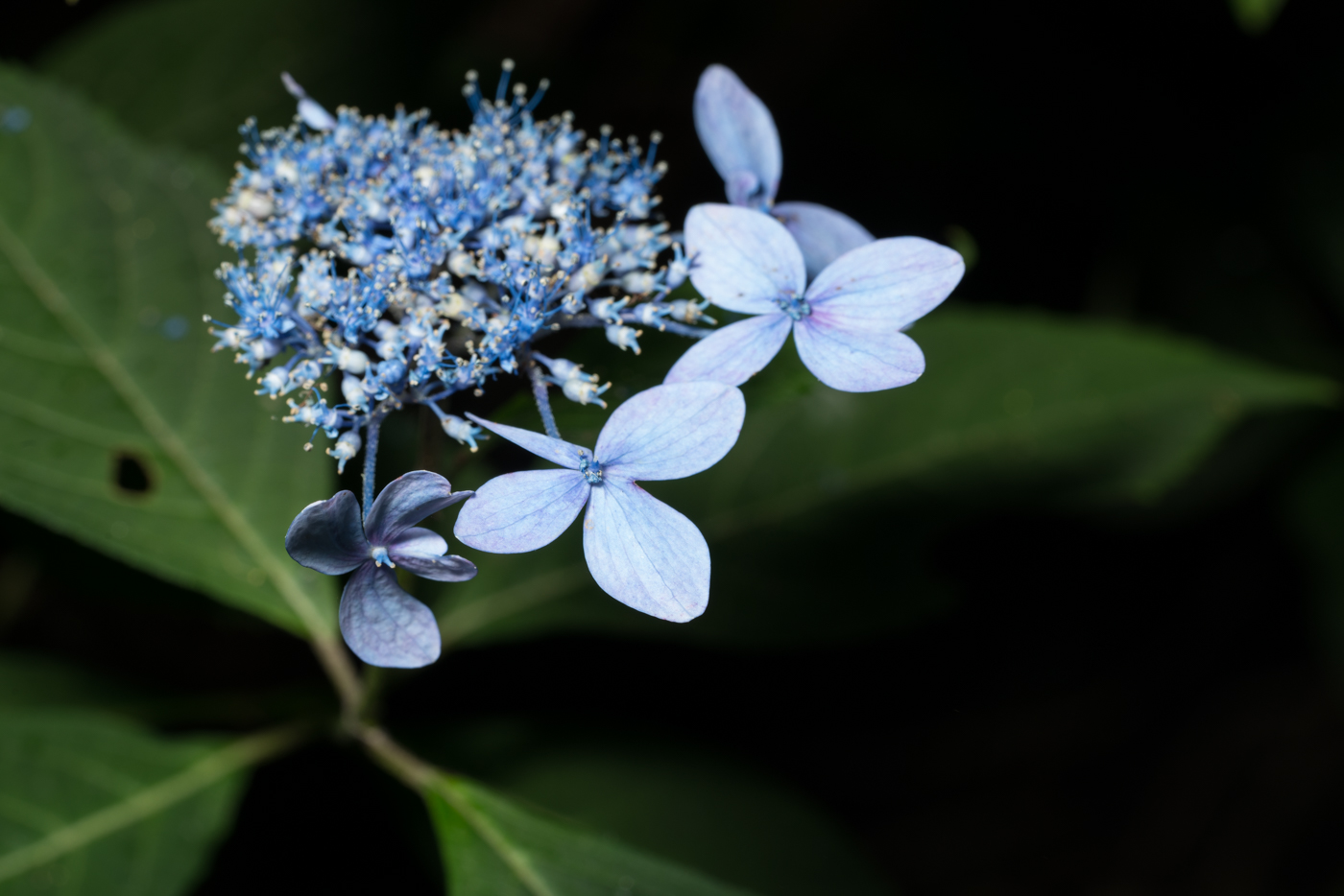 YDY02388.jpg