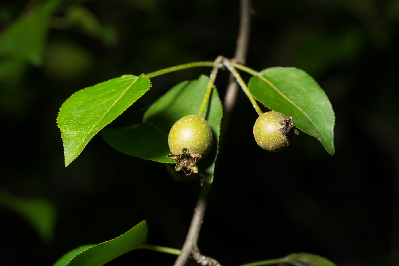 YDY02473.jpg