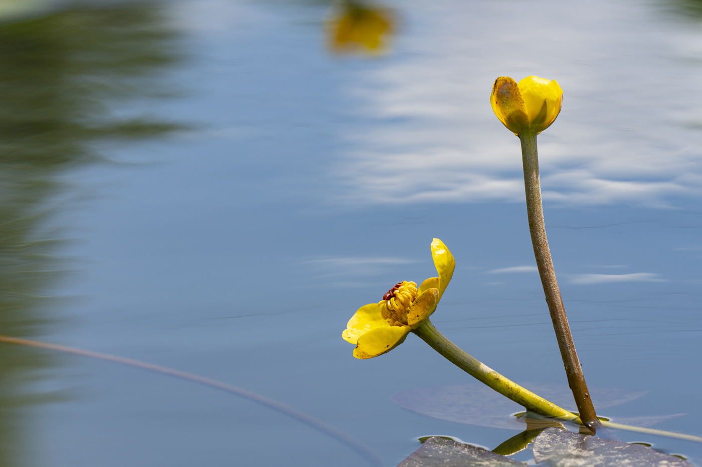 YDY00933.jpg