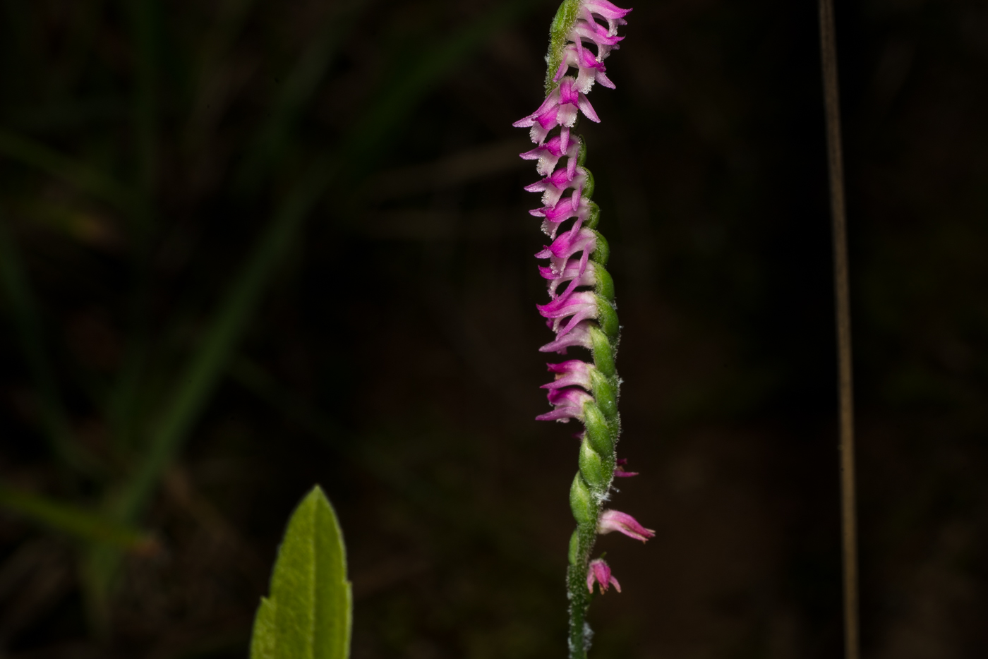 YDY08755.jpg