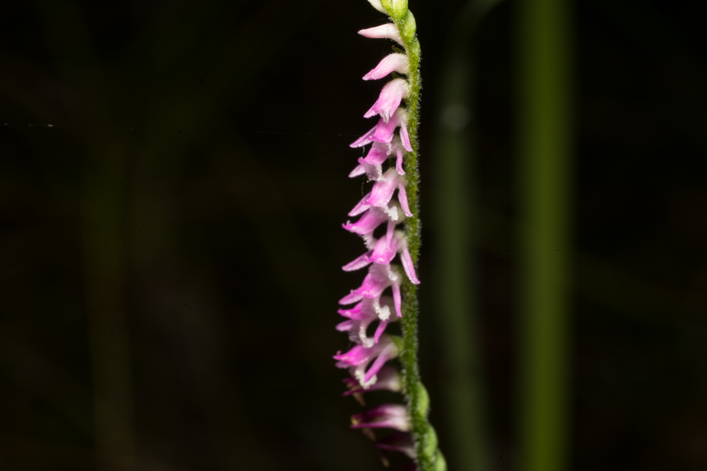 YDY08756.jpg