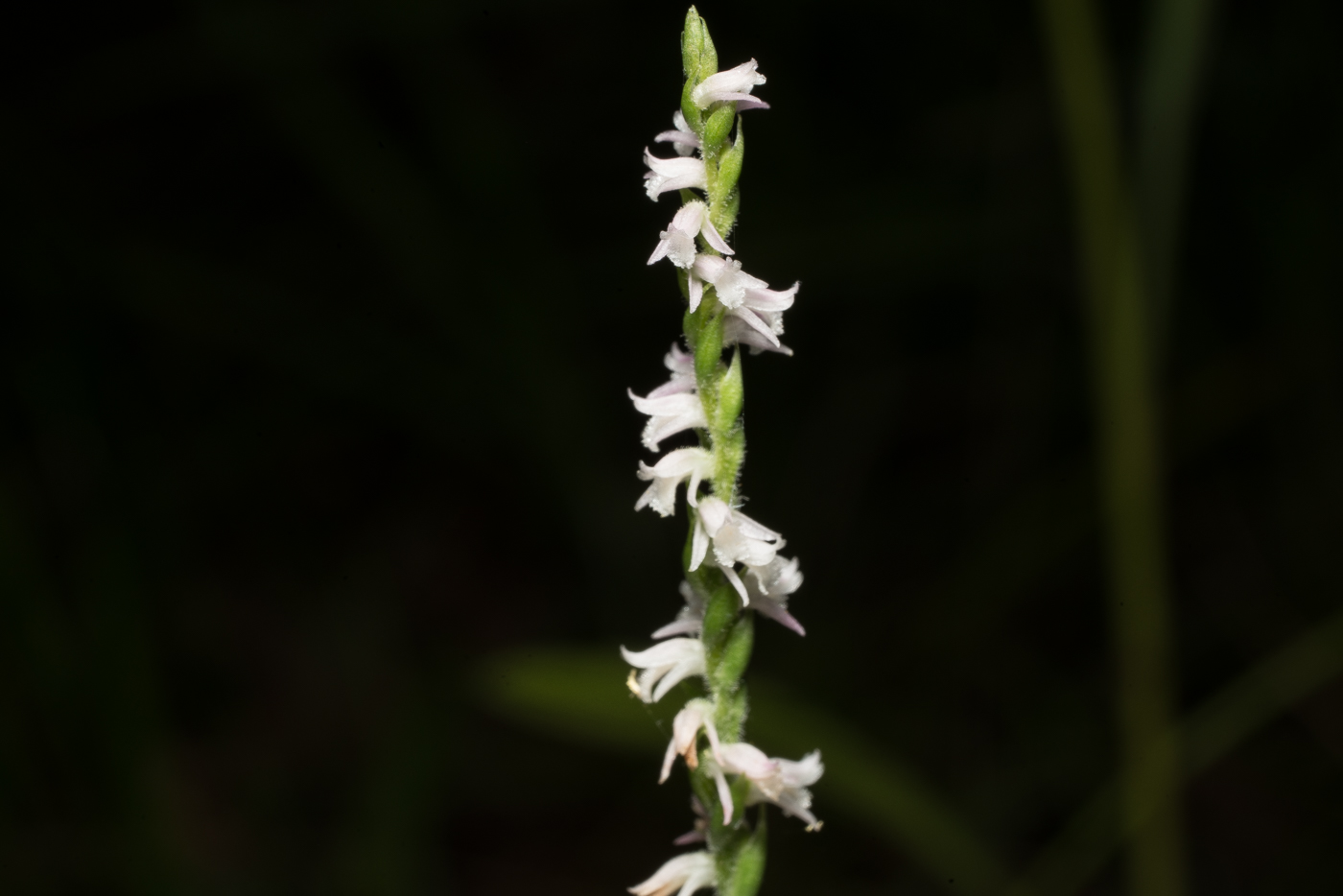YDY08753.jpg
