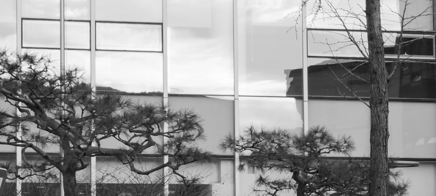 20201119_073944.jpg