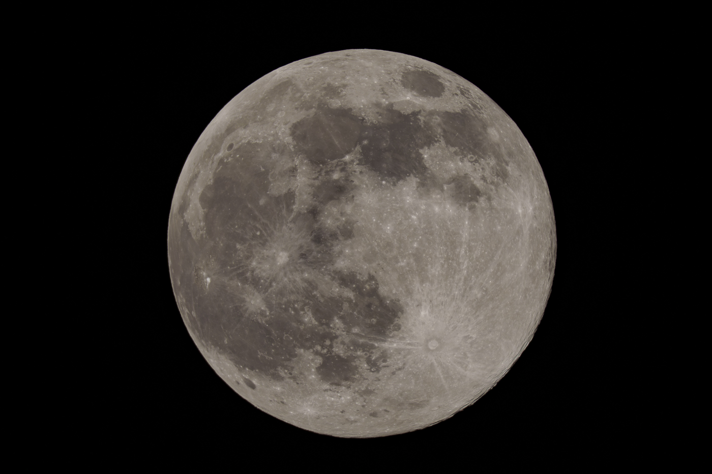 YDY00409-2.jpg