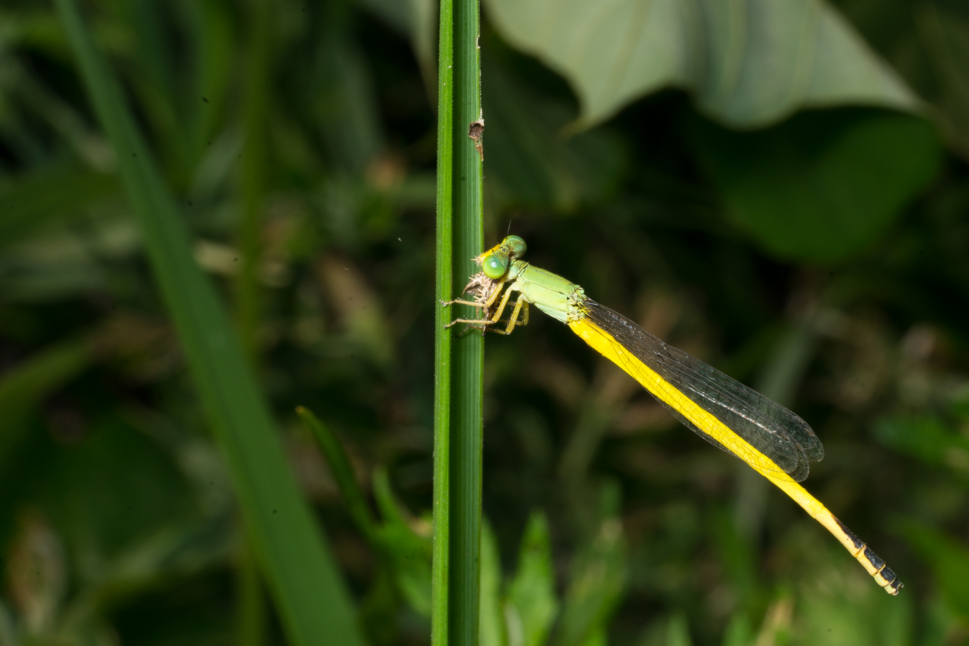 YDY09123.jpg