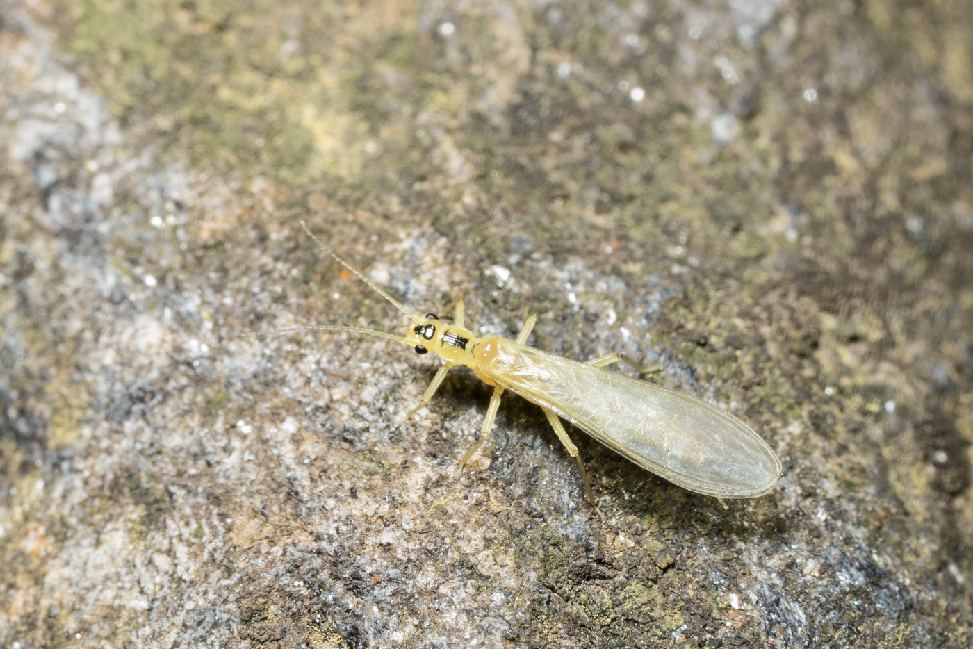 YDY02192.jpg