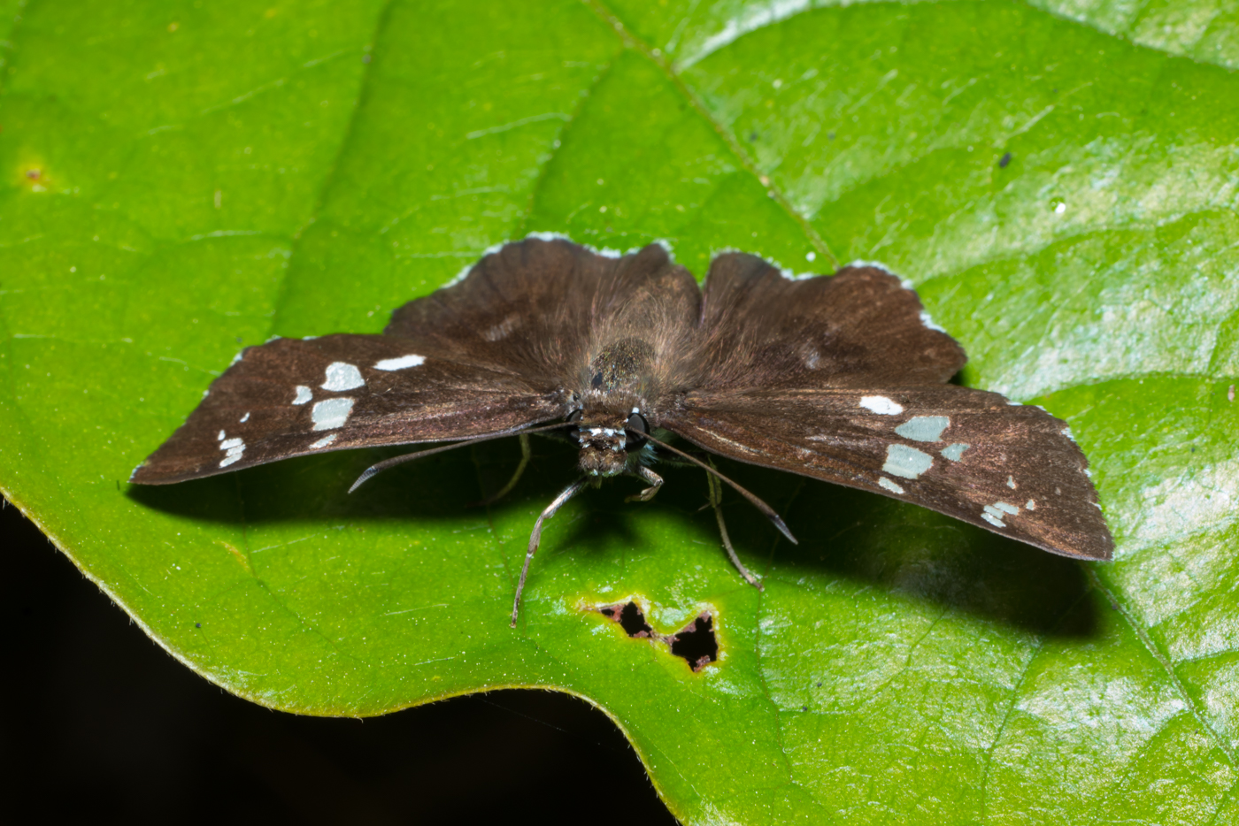 YDY05368.jpg
