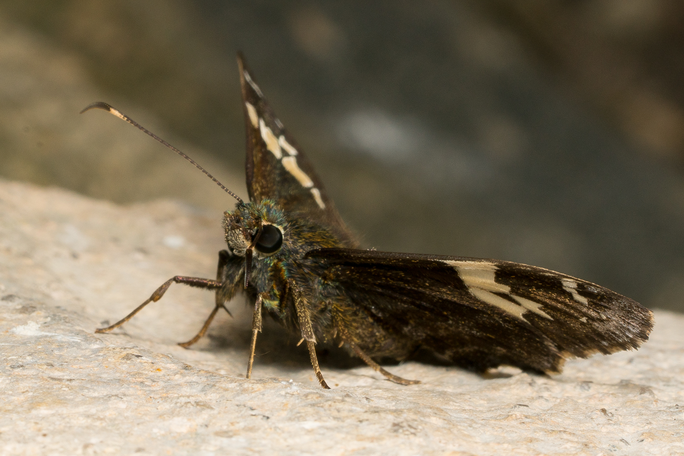 YDY08125.jpg