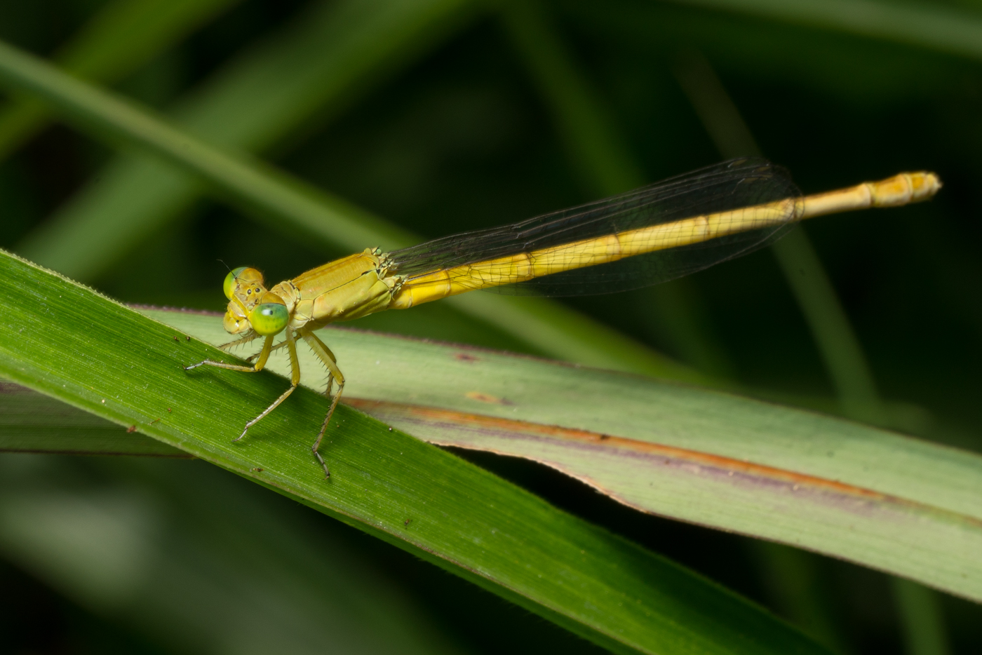 YDY08107.jpg