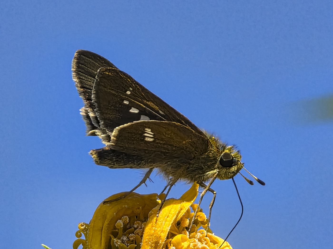 20251029_115317-2.jpg