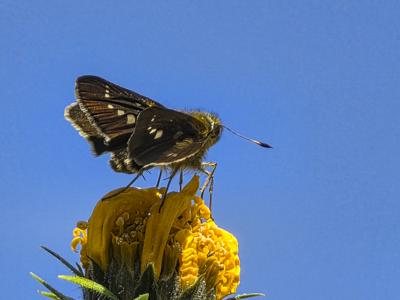 20251029_115231-2.jpg