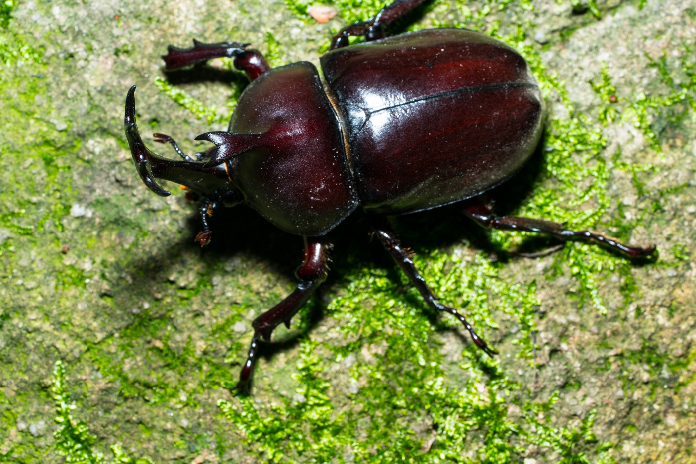 YDY04258.jpg