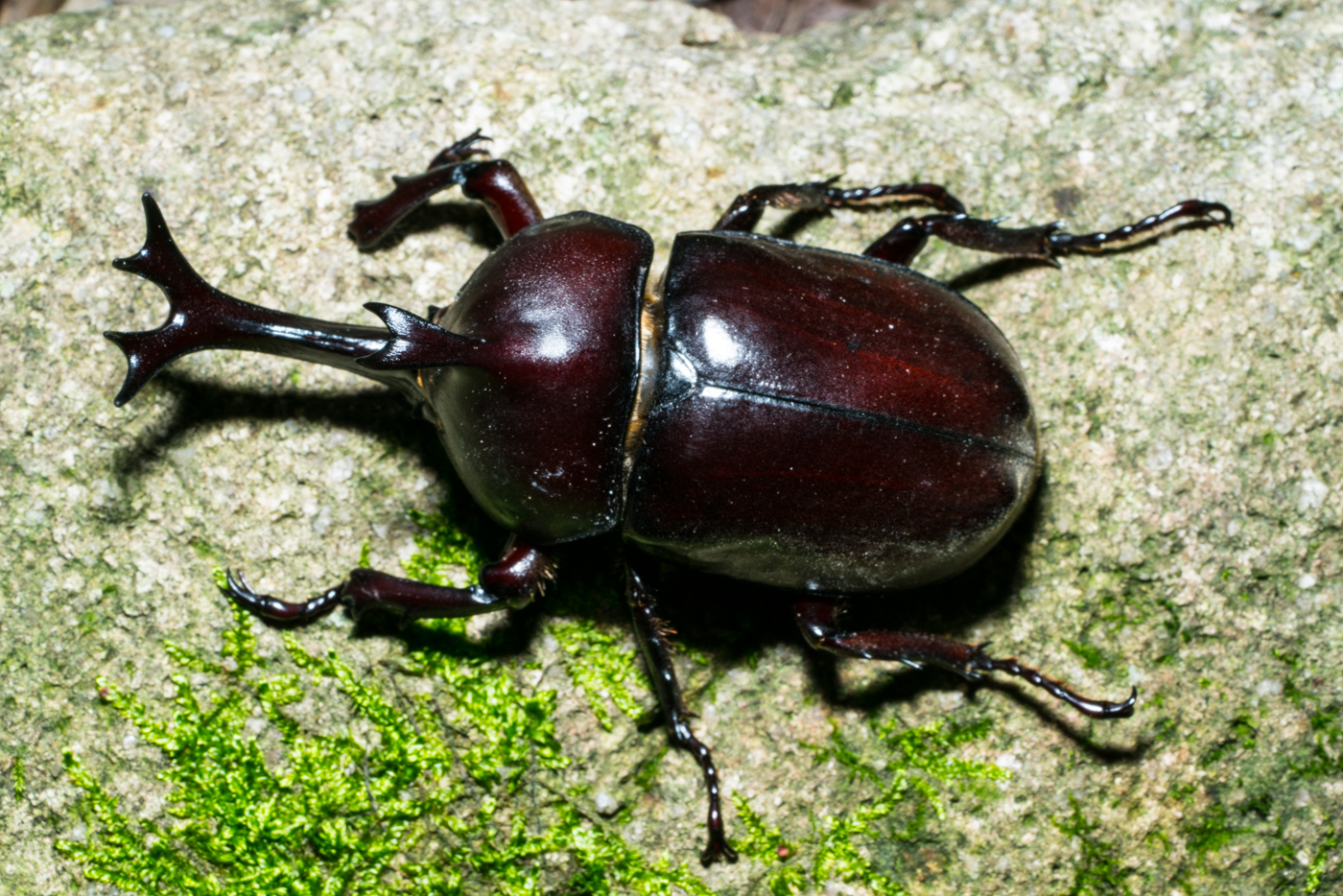 YDY04255.jpg