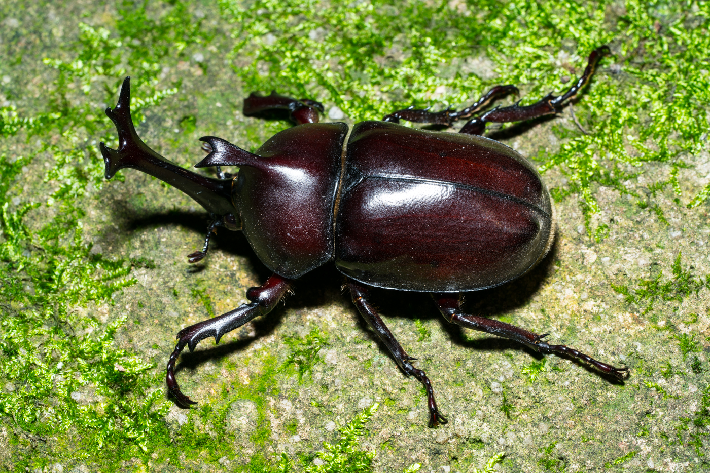YDY04262.jpg