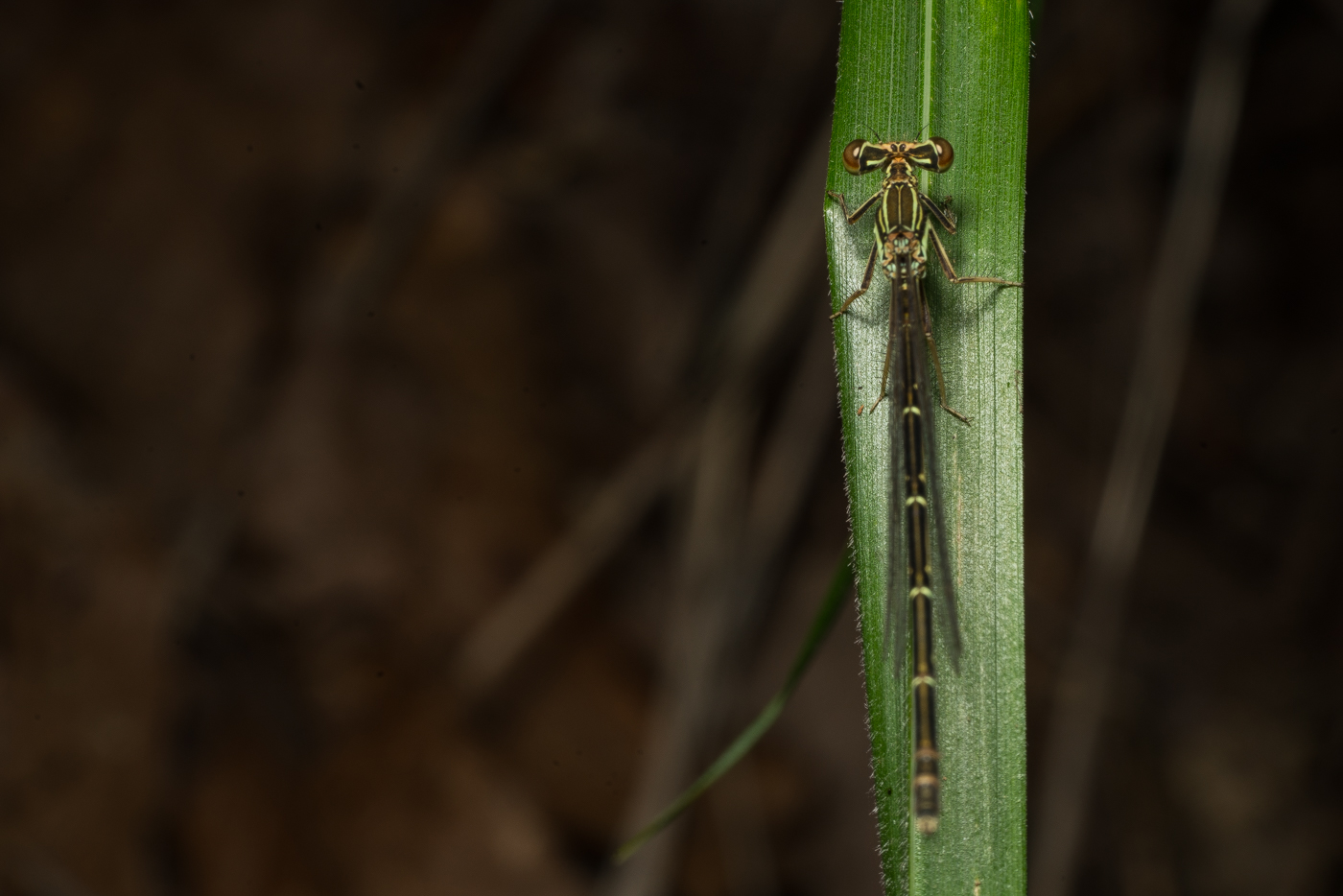 YDY08746.jpg