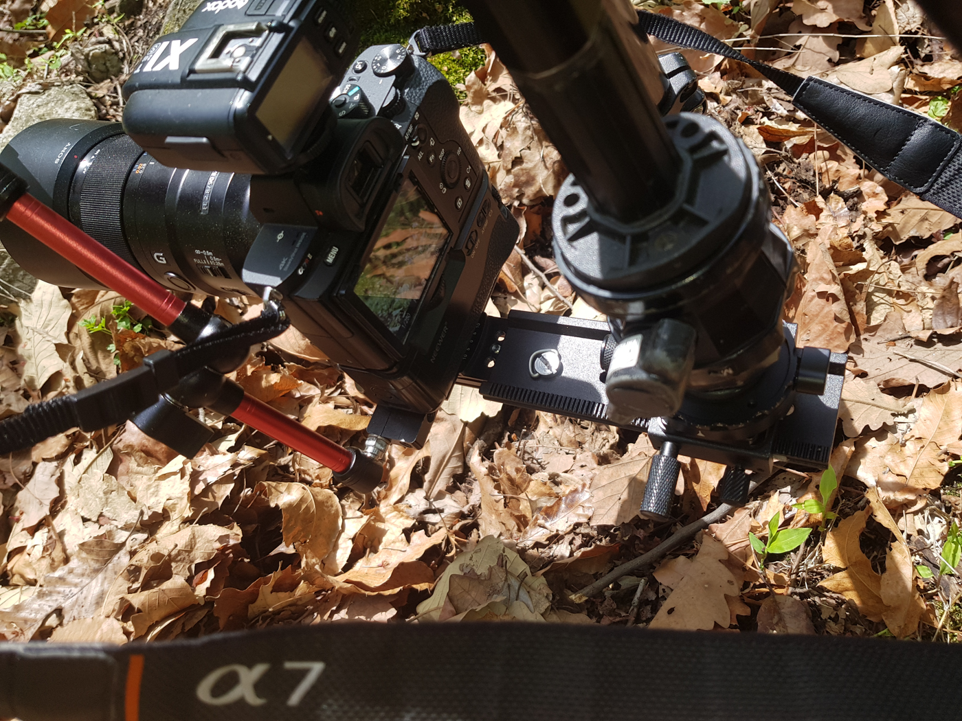 20190427_123451.jpg