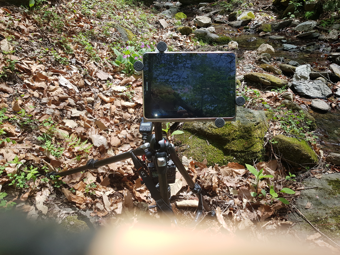 20190427_123424.jpg