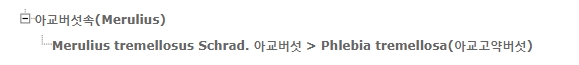 하얀선녀temp.jpg