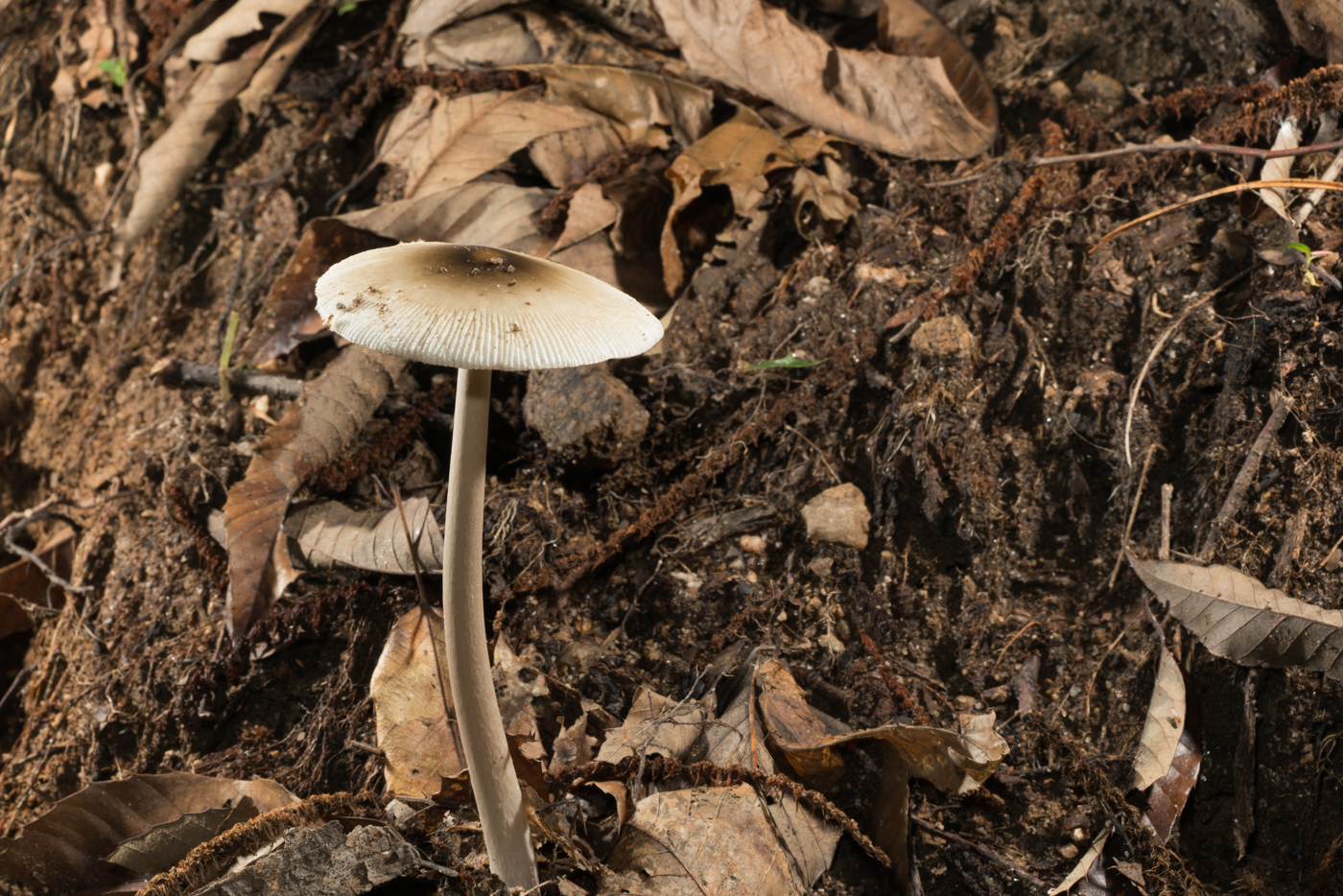YDY02828.jpg