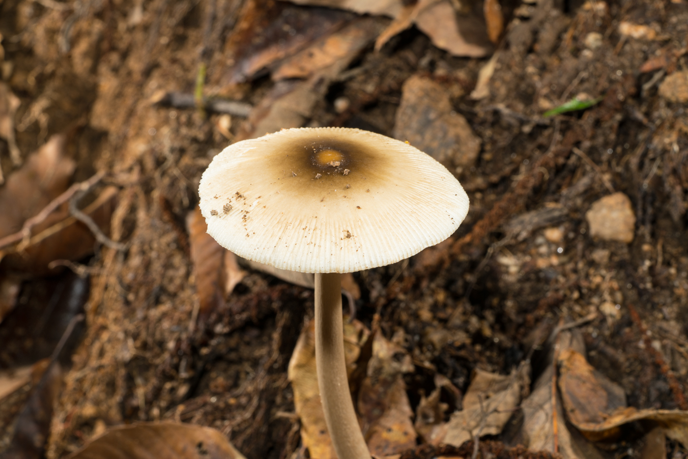 YDY02829.jpg