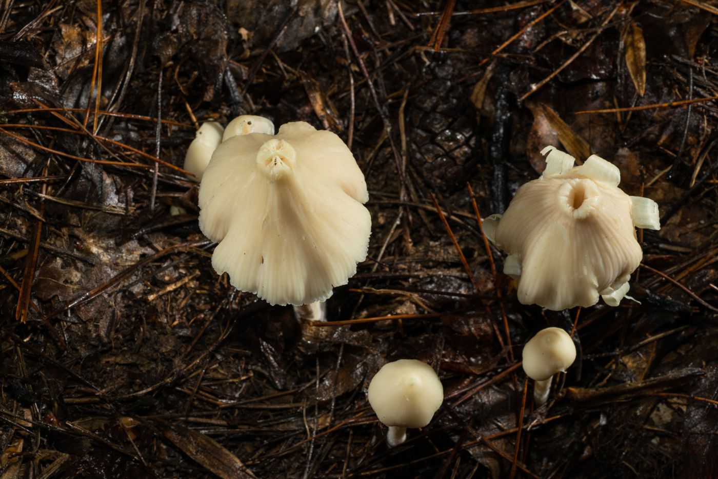 YDY02670.jpg