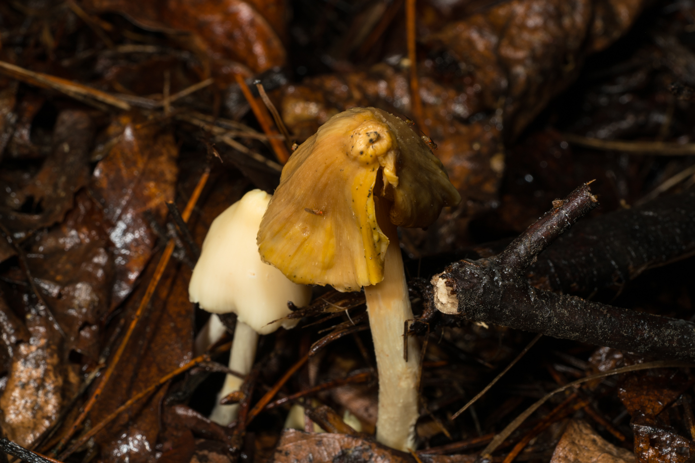 YDY02671.jpg