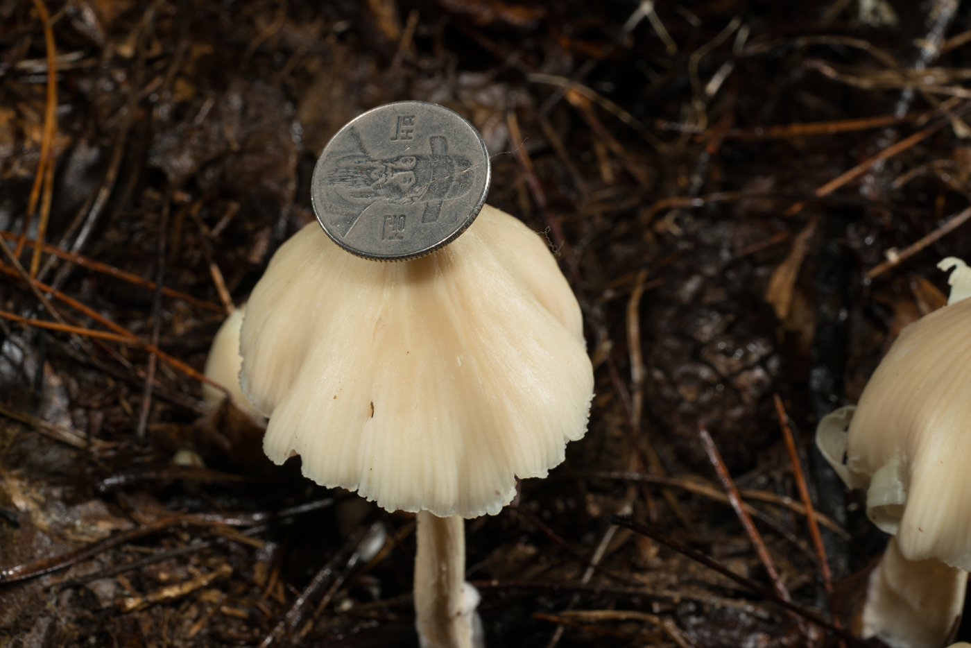 YDY02665.jpg