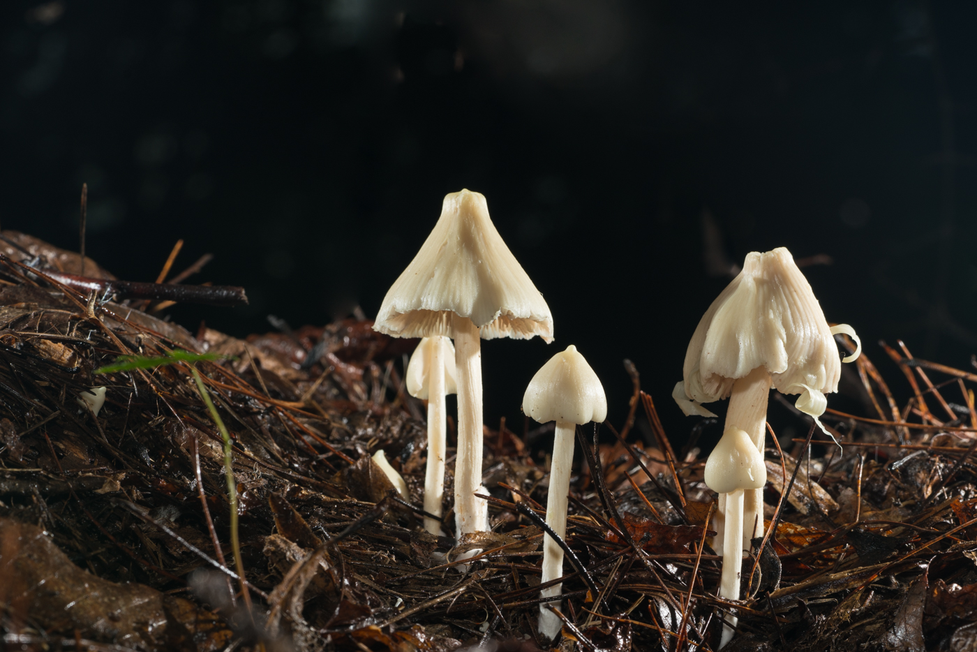 YDY02657.jpg