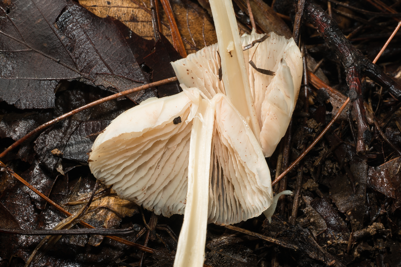 YDY02669.jpg