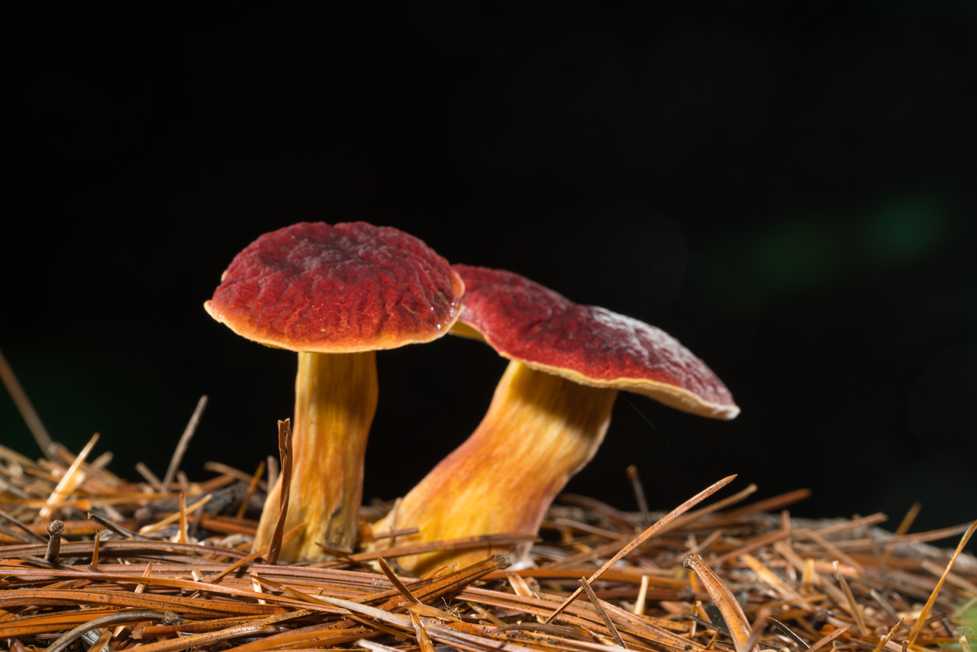 YDY02803.jpg