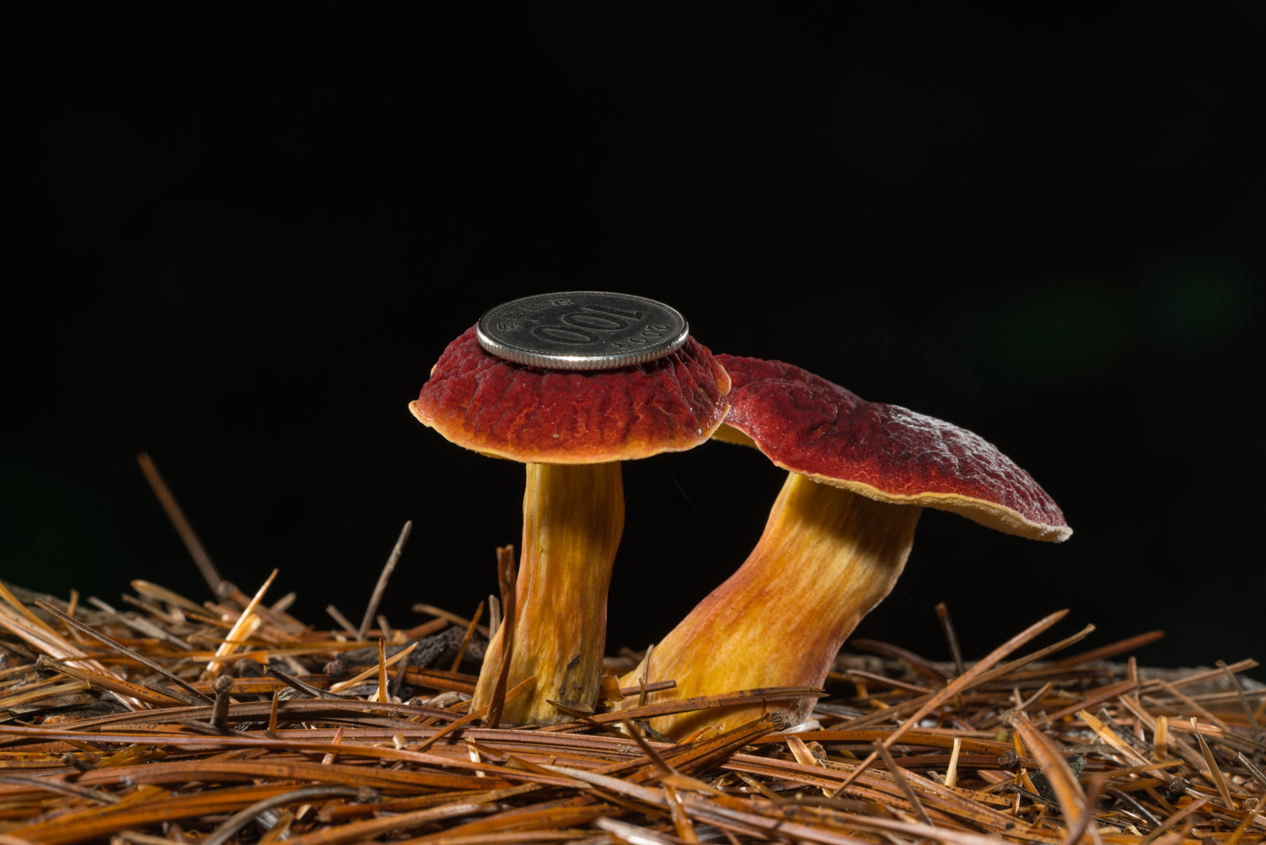 YDY02807.jpg