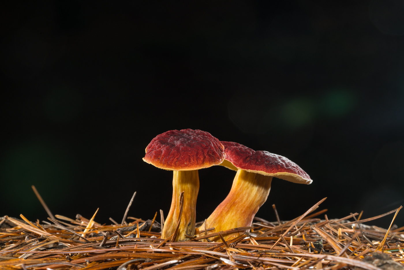 YDY02812.jpg