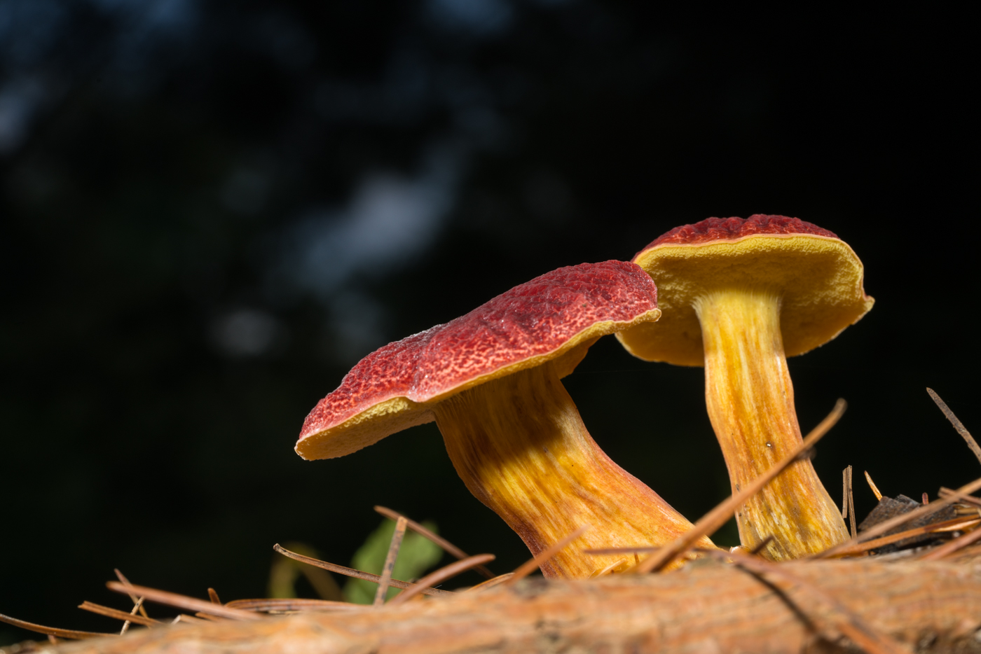 YDY02797.jpg