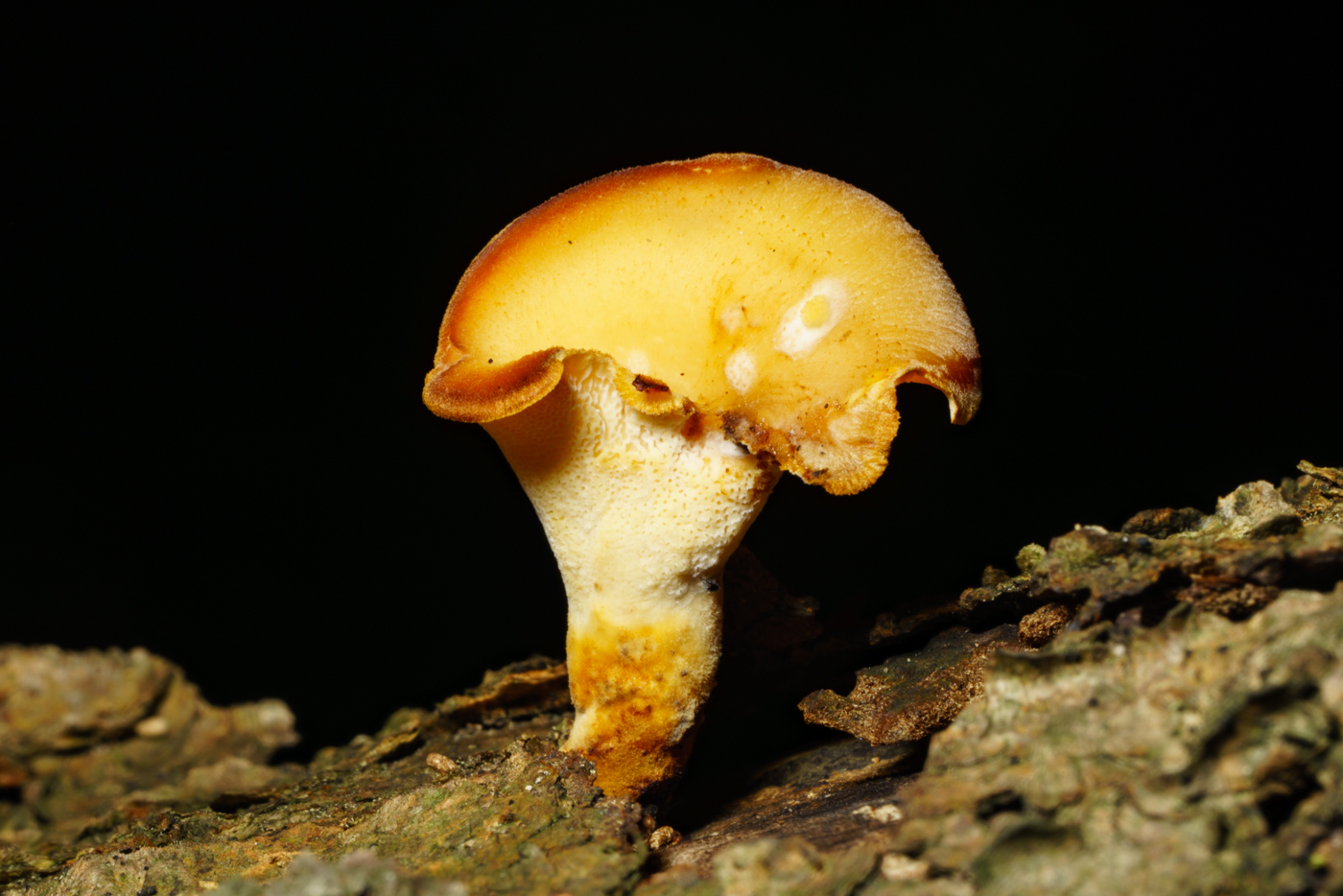YDY00486.jpg