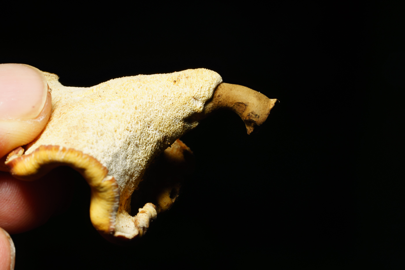 YDY00480.jpg