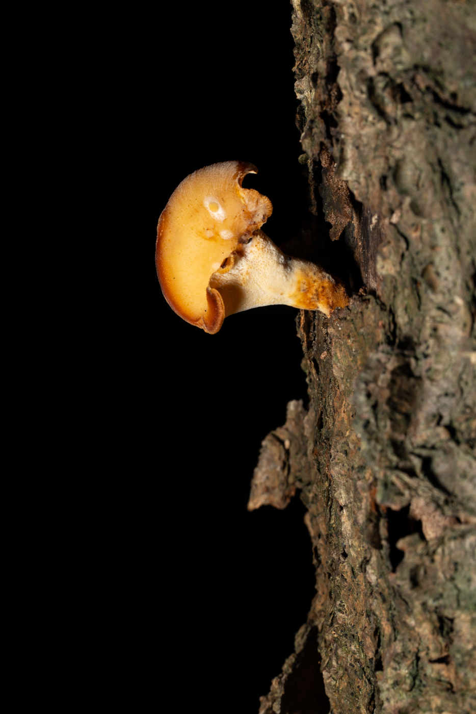 YDY00487.jpg