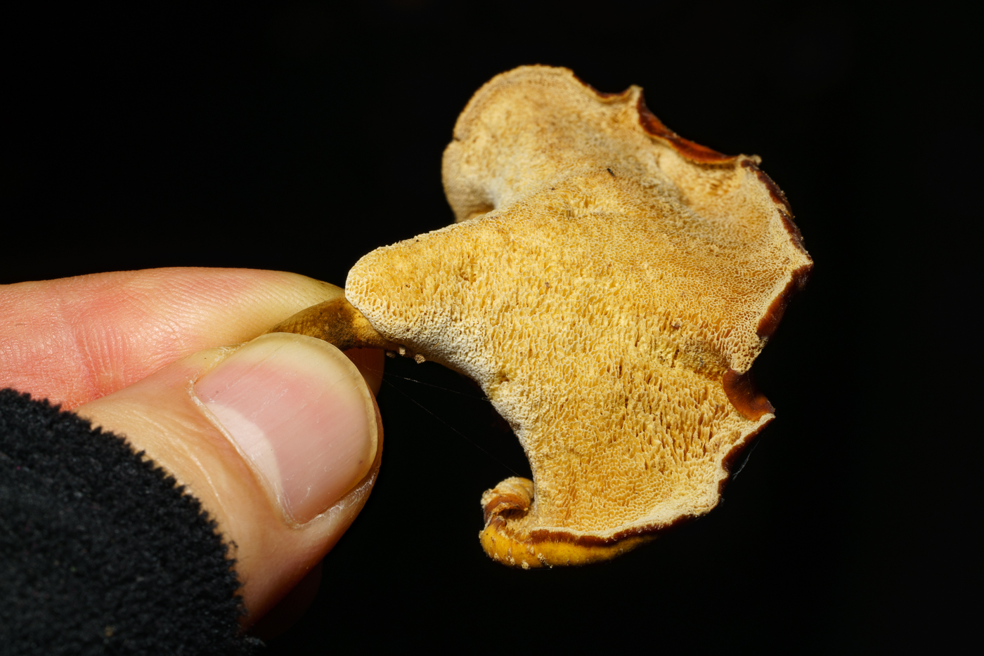 YDY00479.jpg