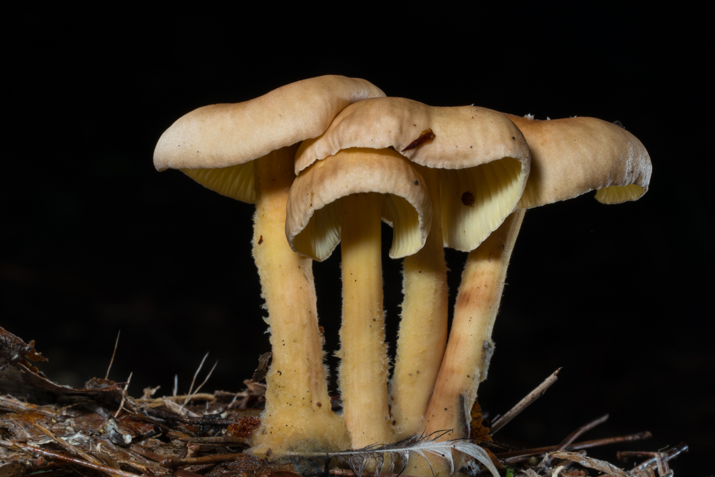 YDY04139.jpg