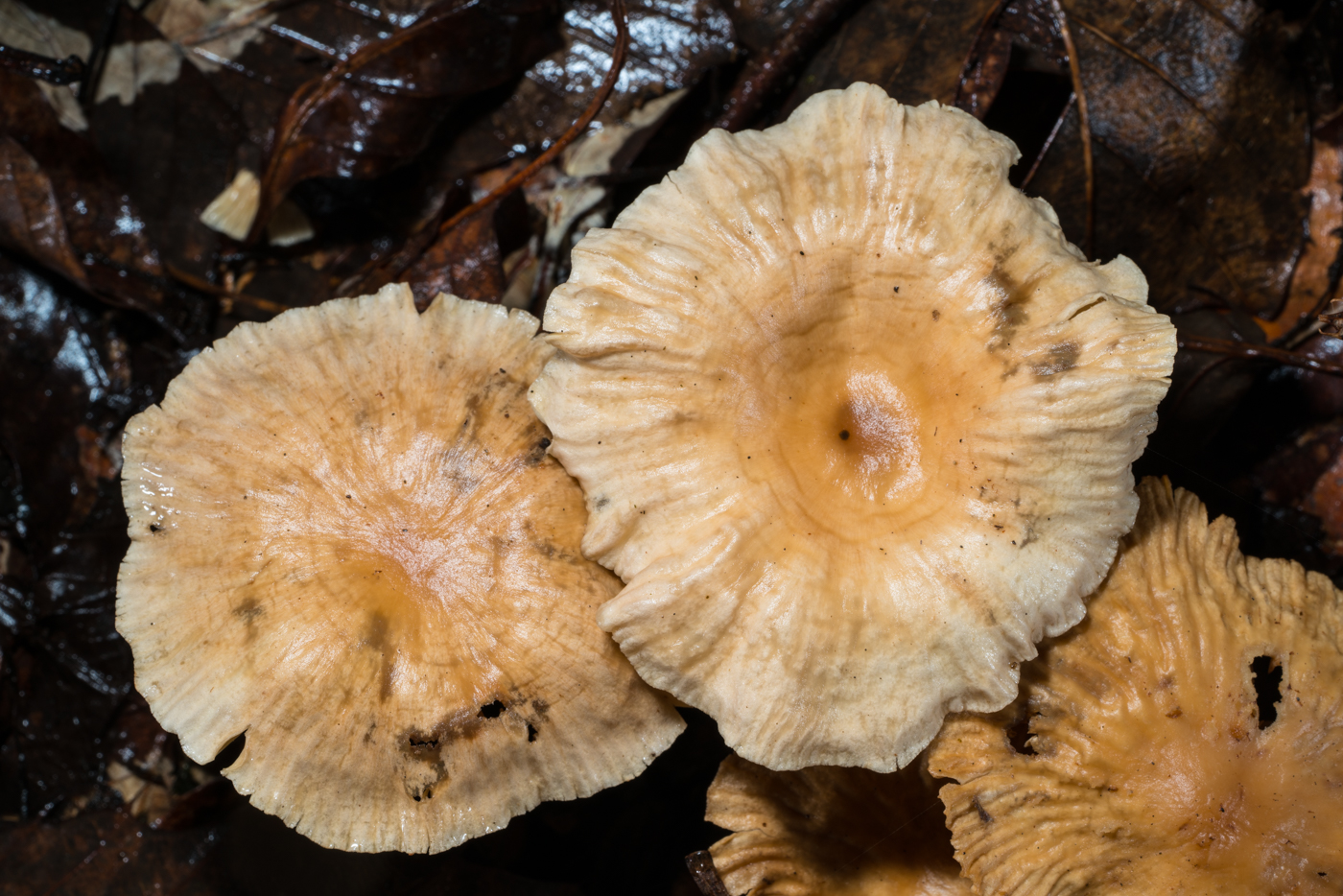 YDY03854.jpg