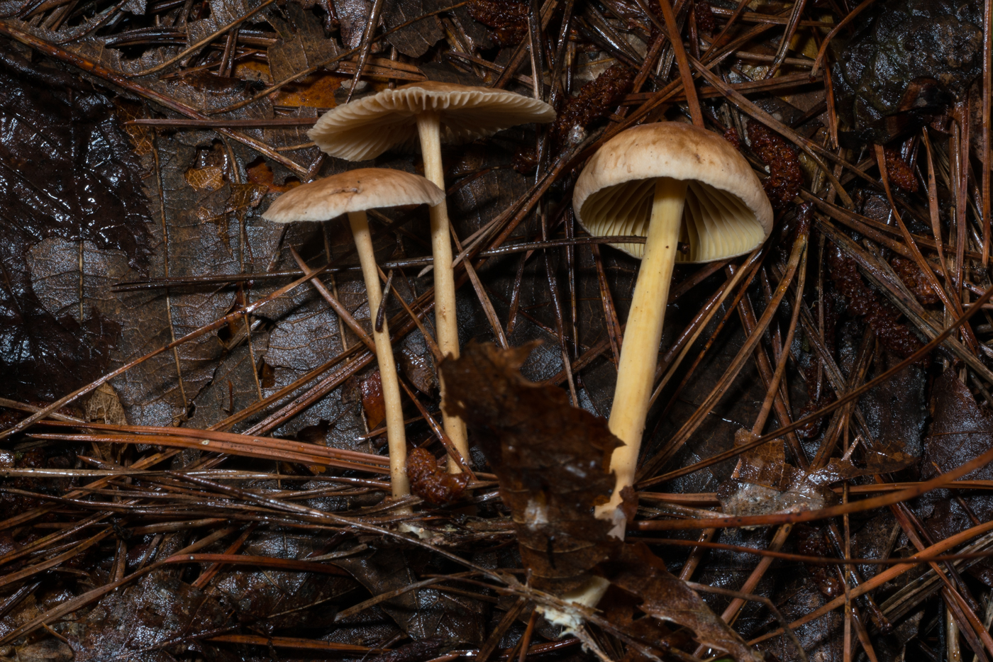 YDY03816.jpg