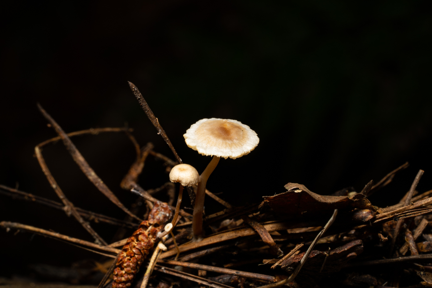 c4600f0fbbd59e0fde00a29d321b5036.jpg
