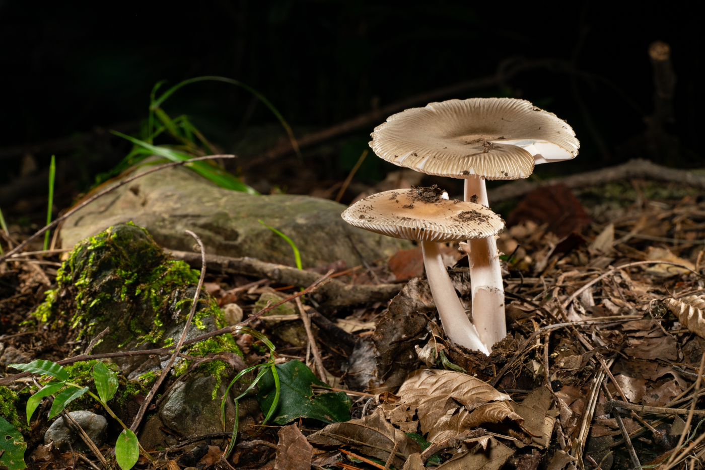 YDY00275.jpg