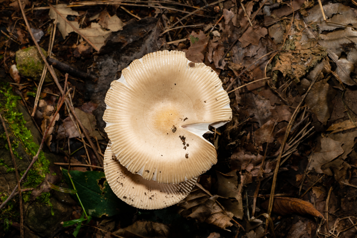 YDY00285.jpg