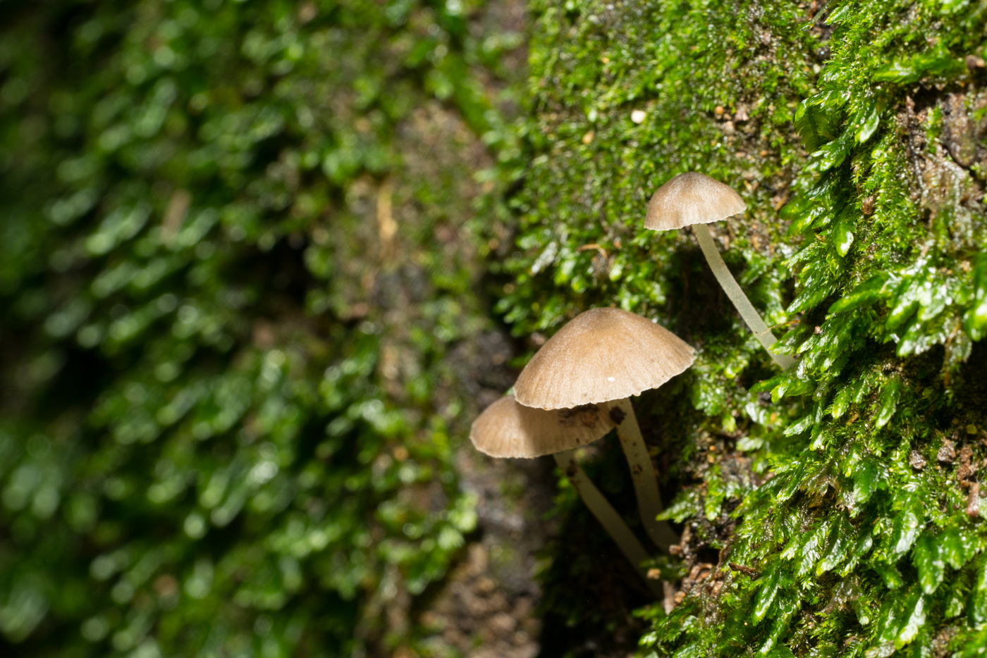 YDY02526.jpg