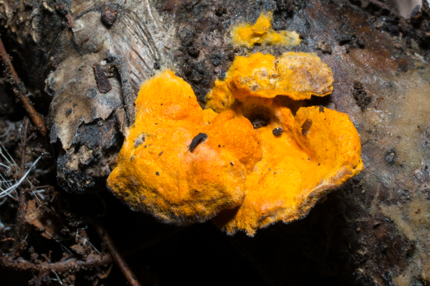 YDY04537.jpg