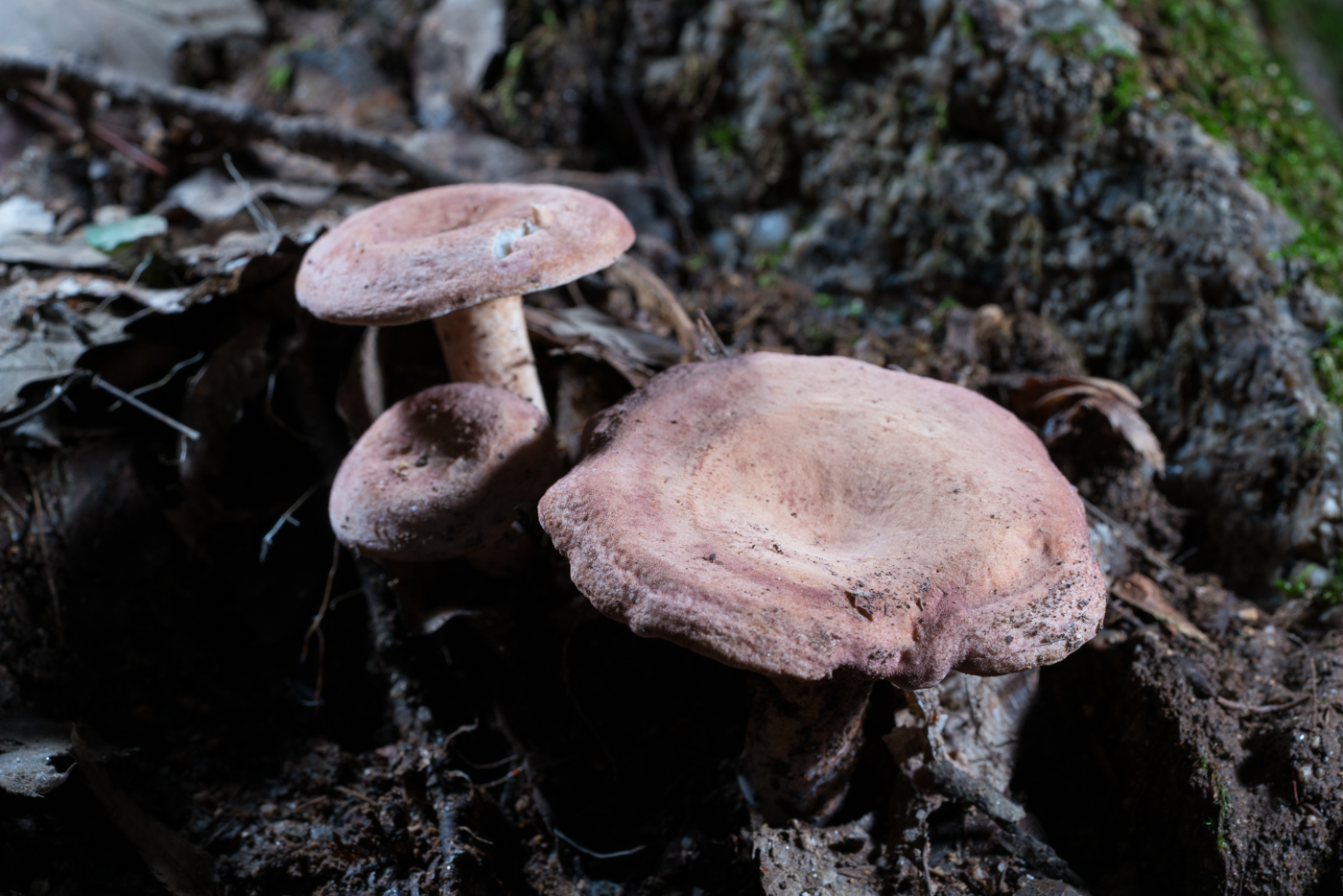 YDY04989.jpg